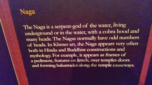 The Naga description. 
